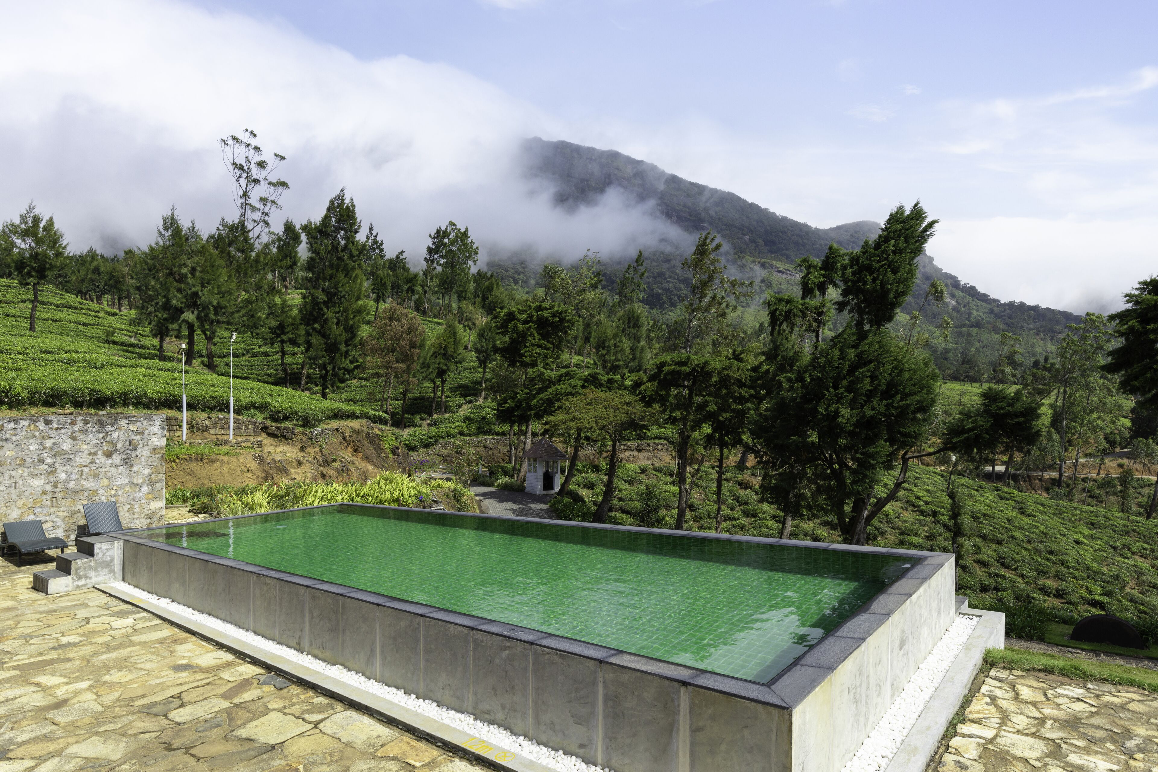 A rectangular pool with a stone deck, surrounded by lush greenery and a mountain backdrop.