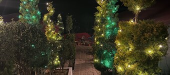 Nature Nest Eco Resort