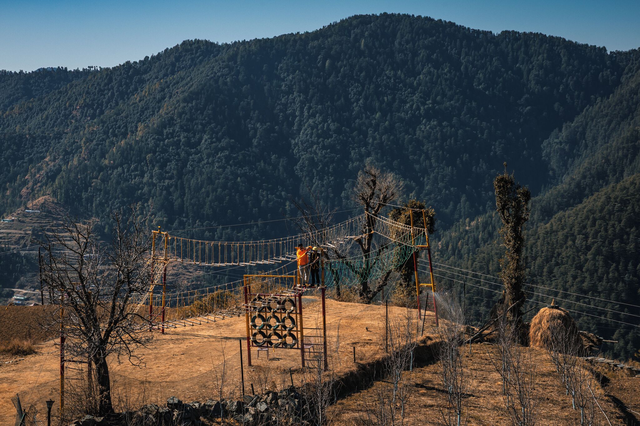 Un puente colgante en una zona montañosa con un bosque de fondo.