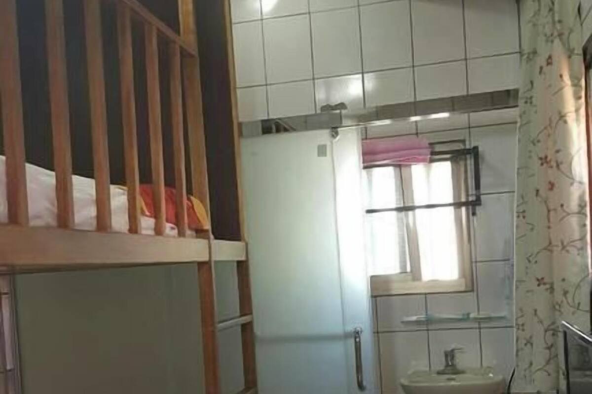 A compact room with a bunk bed, a small sink, a potted plant, and a round table.