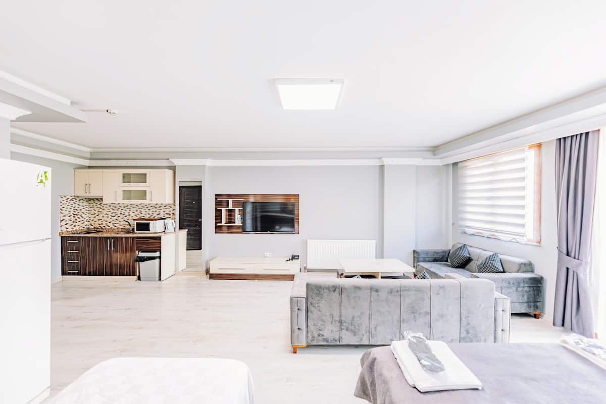 Comfort Apartment (2+1)