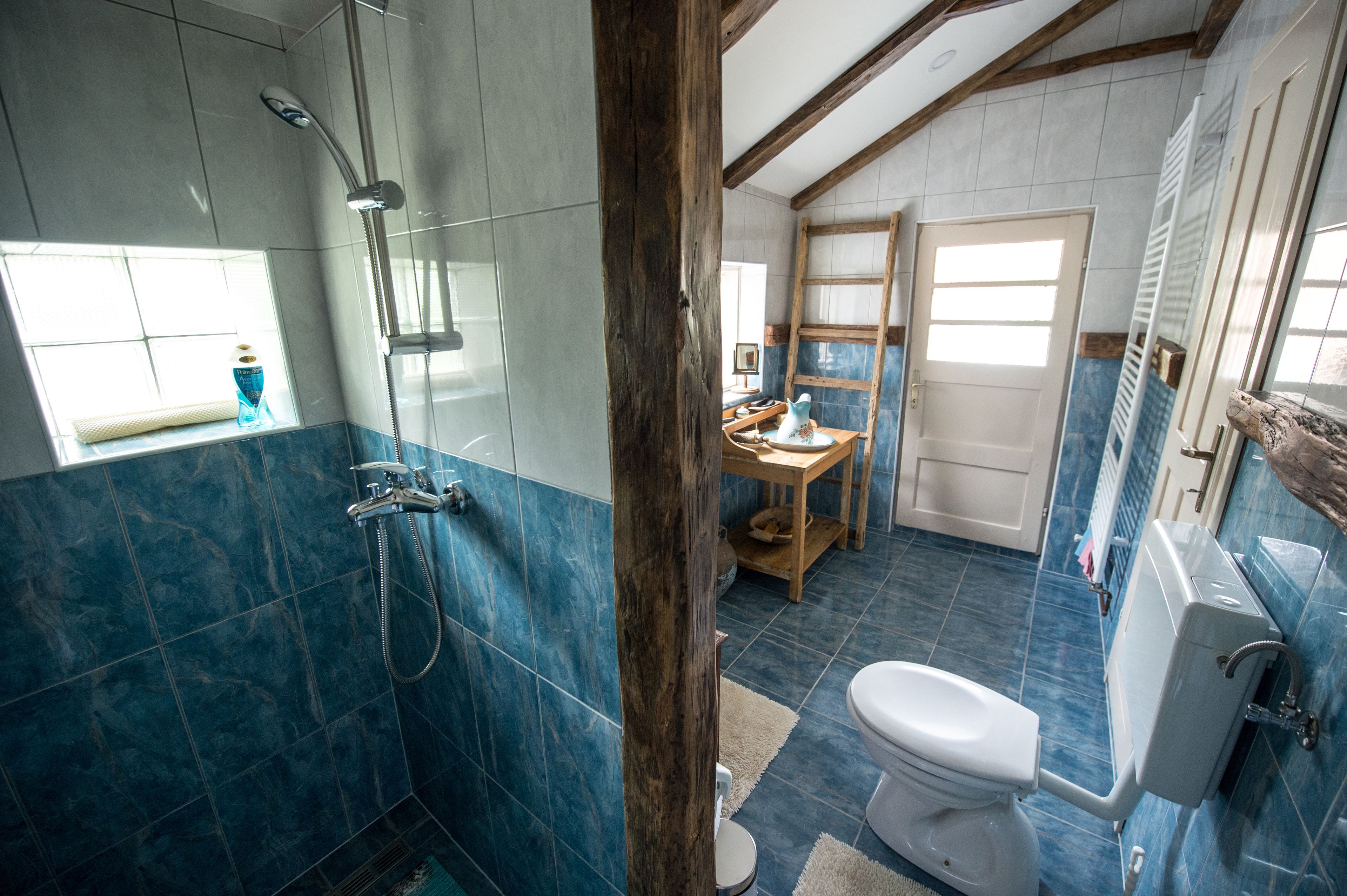 Une salle de bain avec douche, toilettes et lavabo.