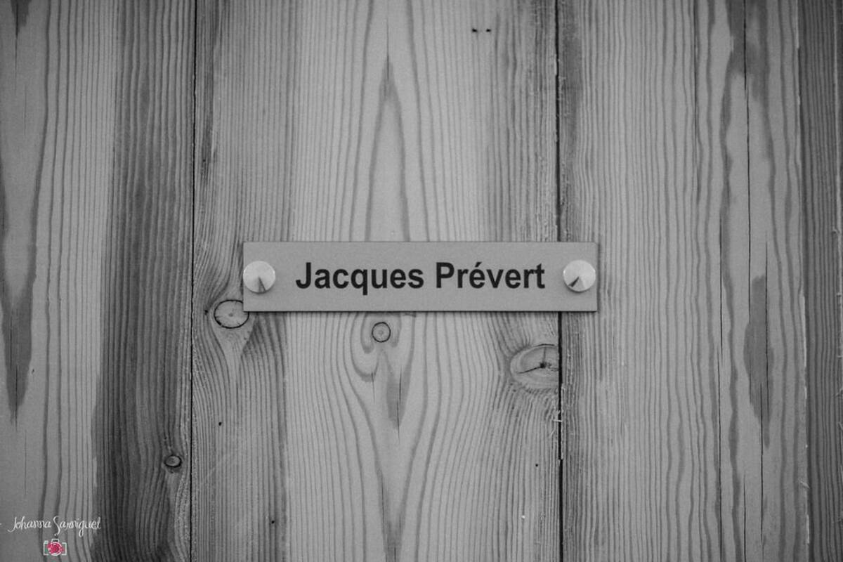 Standard dubbelrum (Jacques Prevert) | Individuell inredning, unika möbler, skrivbord och ljudisolering