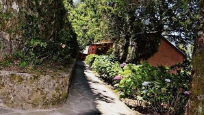 Ein schmaler Steinweg, gesäumt von üppigem Grün und einem kleinen Gebäude mit geneigtem Dach.