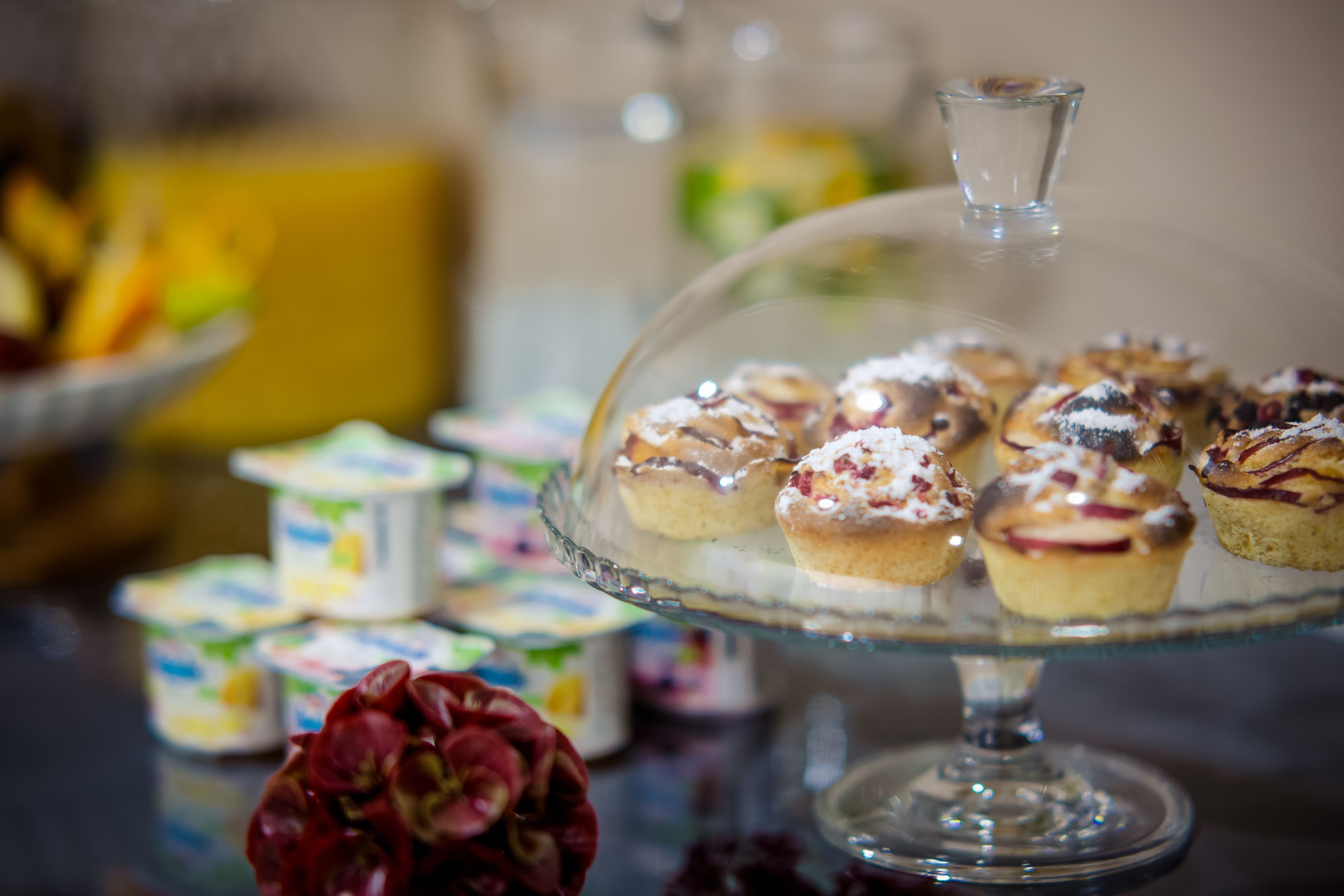 daily buffet breakfast for a fee