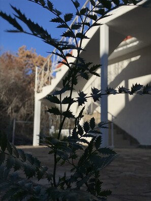 Porch - Villa Park Izobilnoe (Dobrovelychkivka)