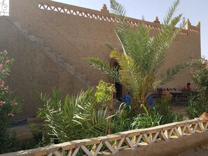 Garden - Riad Desert Camel (Taouz)