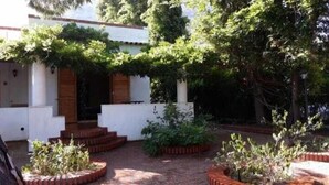 A courtyard with a white building, steps leading to a door, and various plants.