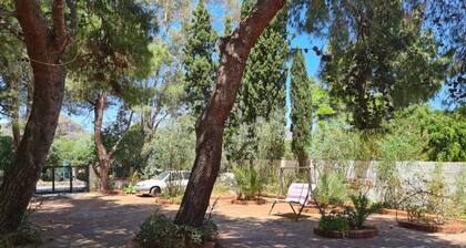 Villa Il Glicine Bed & Breakfast