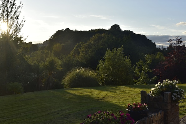 A grassy field with a stone wall and flower pots, surrounded by trees and a hill in the background. - White Hill Country House (Castleblayney)