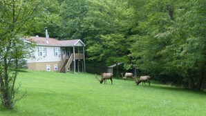 Una casa con porche y un cobertizo pequeño en un área verde con árboles.