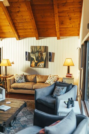 Smart TV, chimenea, reproductor de DVD, libros