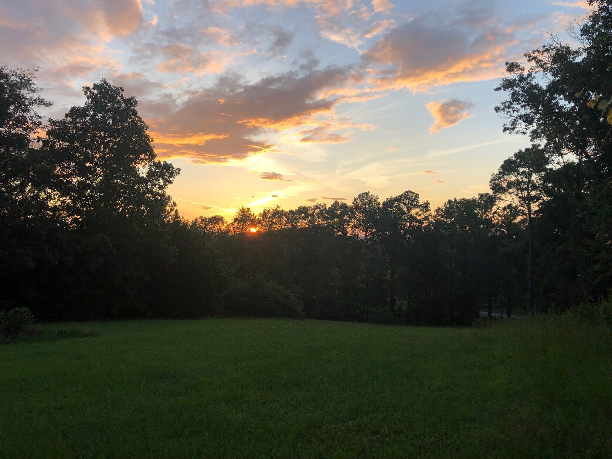 A sunset over a grassy field with trees in the foreground.