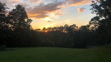 A sunset over a grassy field with trees in the foreground.