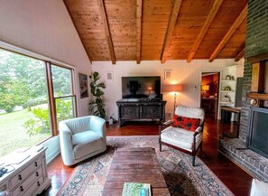 Smart TV, chimenea, reproductor de DVD, libros