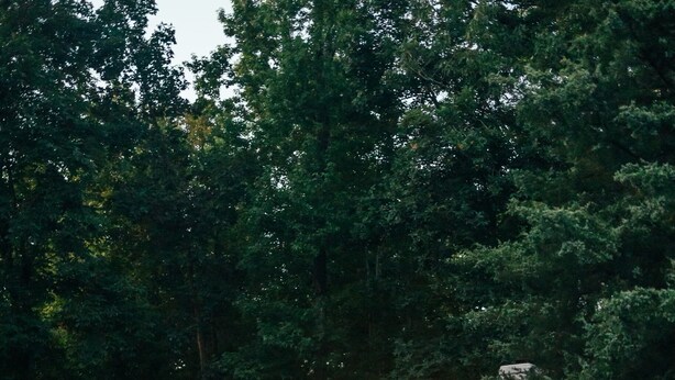 A wooden cabin with a swimming pool, surrounded by lush greenery. - Shepherds Retreat - 2 miles to I-65 (Montevallo)