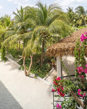 Garden - Tranquila Maldives (Rasdhoo)