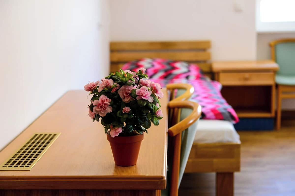 A room with a wooden desk, a potted plant, a bed with a patterned blanket, and a bedside table.