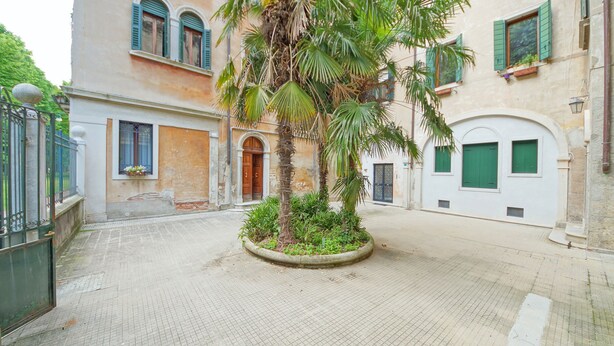 A courtyard with a palm tree, a building with green shutters, and a tiled floor. - DolceVita Apartments N. 331 (Venice)