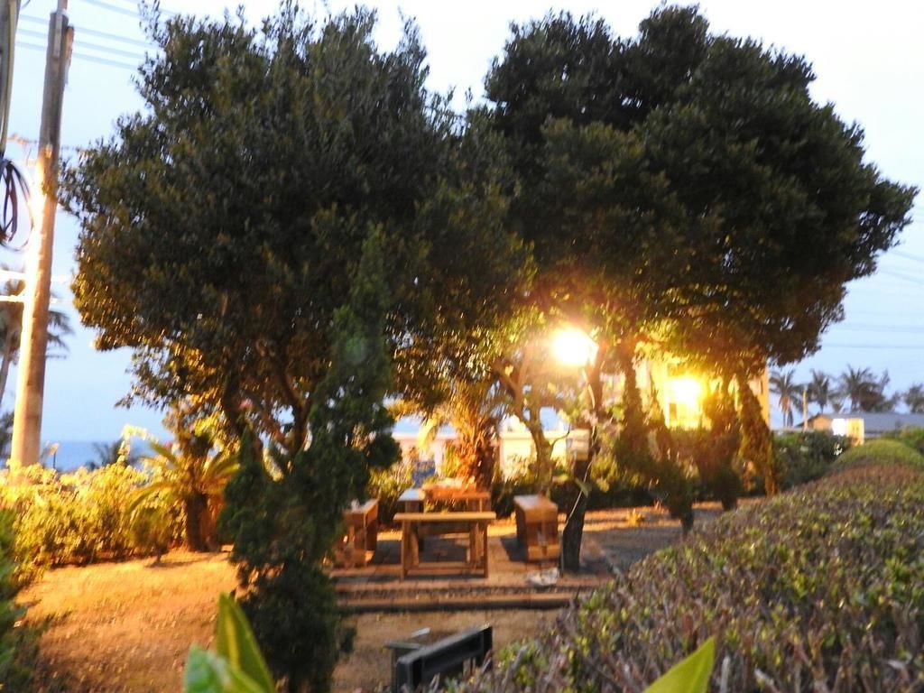 杉原小築民宿評價、特色體驗、房價資訊、訂房連結 – 親切主人與海景住宿 - 照片 5