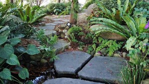 Un sendero en el jardín con piedras para pisar, rodeado de diversas plantas y árboles.