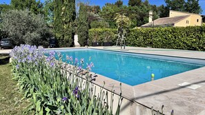 Outdoor pool - Summer rentals in Provence (Mazan)