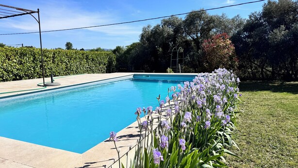 Una piscina rectangular con superficie de agua azul cristalina, rodeada de césped y un seto.