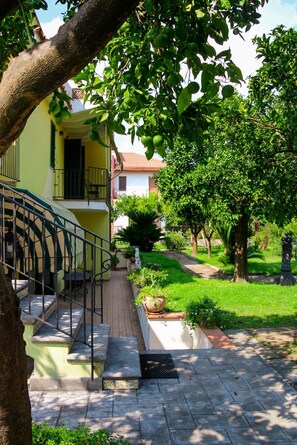 Televisión de pantalla plana