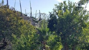Garden - Bed & Breakfast Massico (Sant'Agnello)