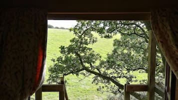 Nhà trên cây phong cách lãng mạn | Hiên