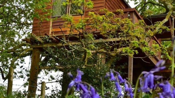 Casa na árvore romântica | Área de estar