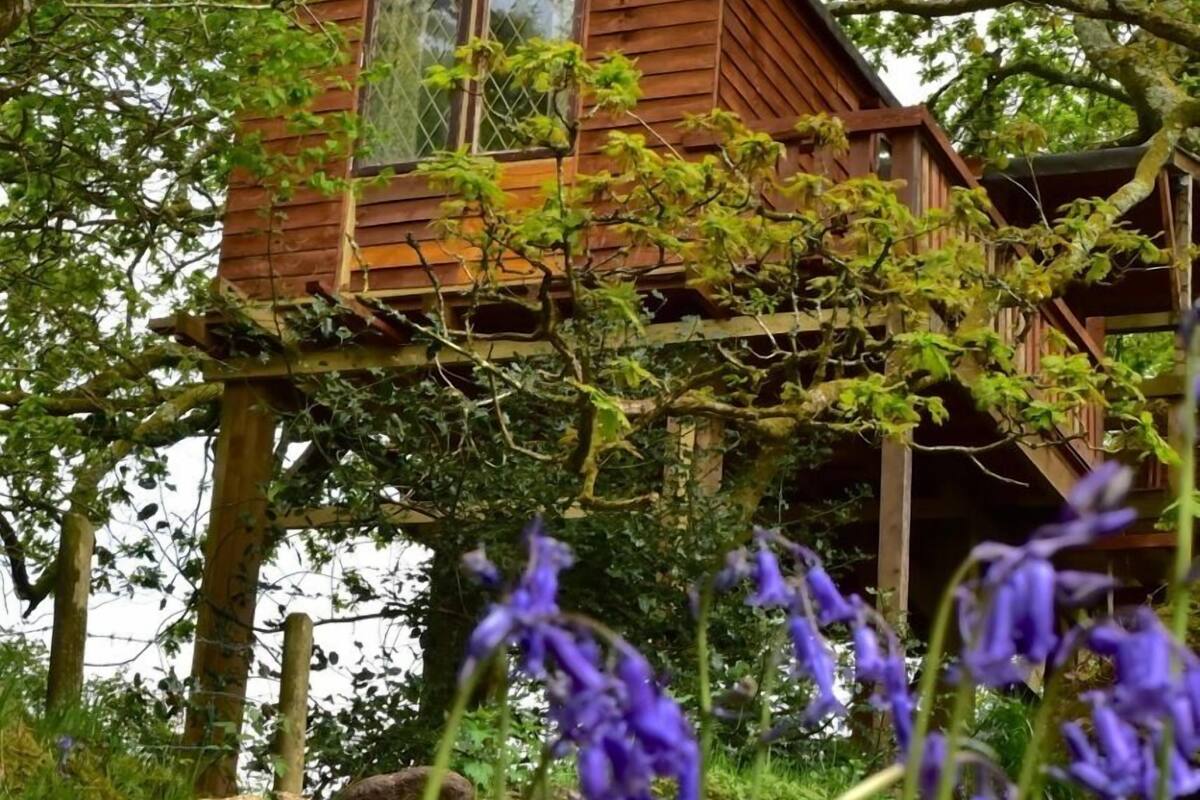 Casa de árbol romántica | Área de sala de estar | Chimenea 