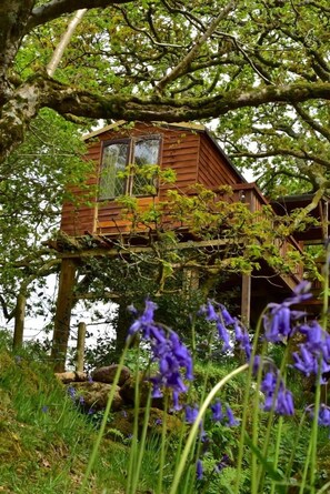 Living area - Green Cart Farm (Lostwithiel)