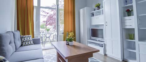 Individually decorated, individually furnished, iron/ironing board