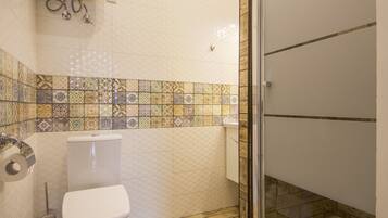 A bathroom with a toilet, a shower, and a tiled wall.