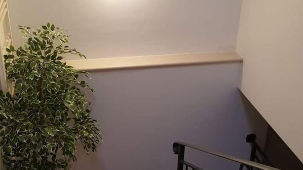 A staircase with a light fixture, a potted plant, and a handrail. - Agata (Cocullo)