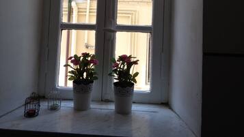 A window with a lace valance, two potted plants, and a small birdcage.