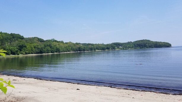 Un lago tranquillo con una spiaggia sabbiosa e una fitta foresta sulla riva opposta.