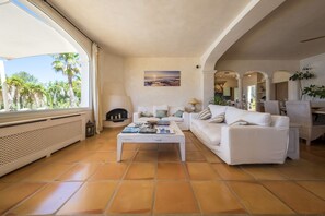 Télévision, cheminée, livres, chaîne hi-fi