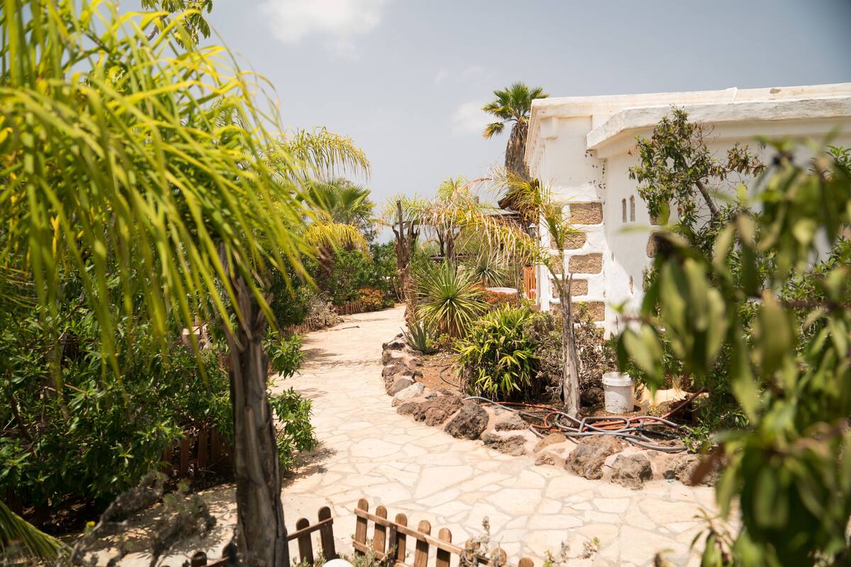 A stone pathway leading through a garden with various plants and a white building with a rustic facade.