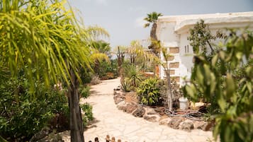 Studio, Terrace | View from room