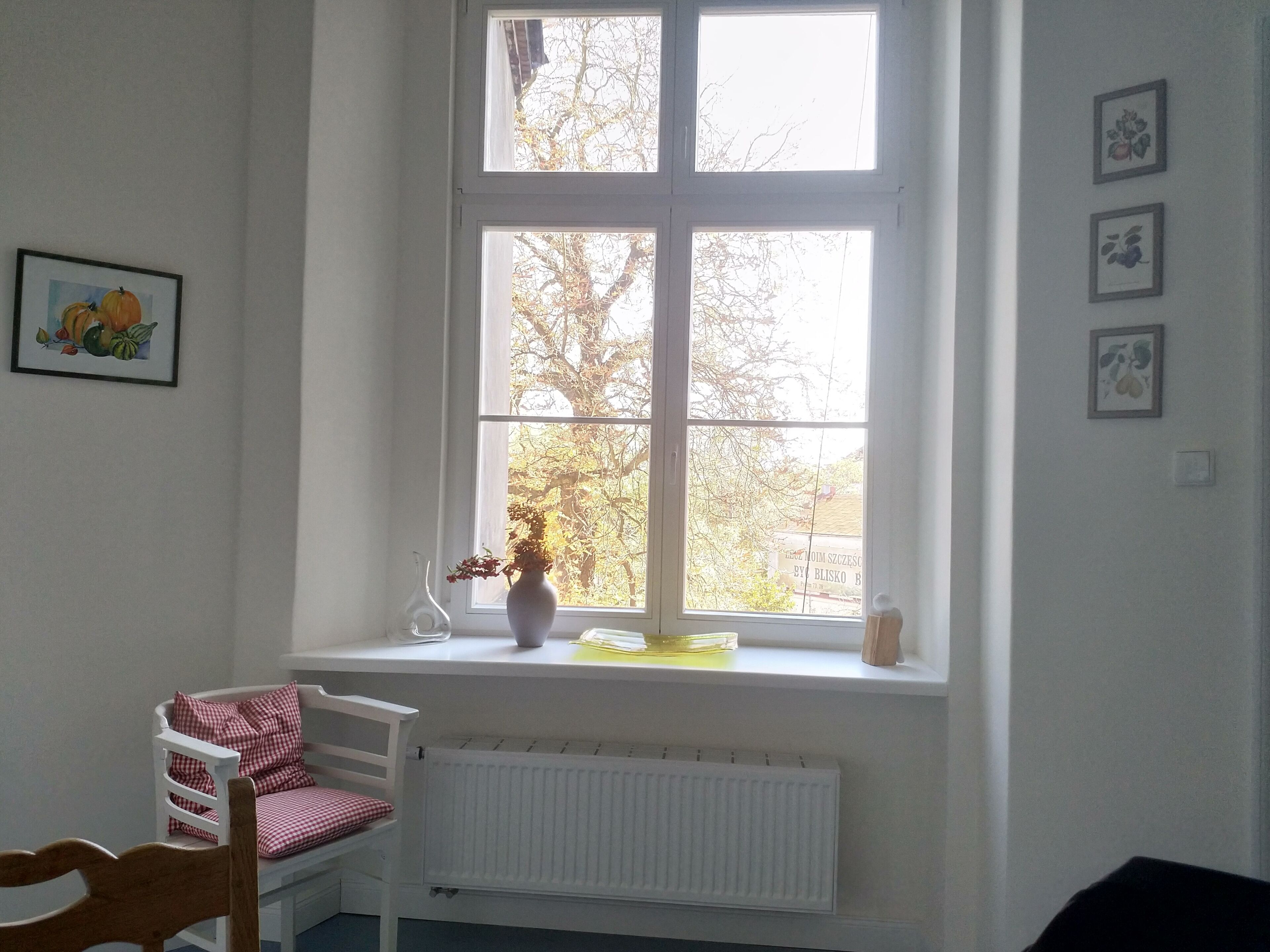 A room with a white radiator, a white chair with a checkered cushion, a window with a view of trees, and a vase with flowers on the windowsill.