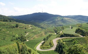 Image sans description, 2 de 17, bouton