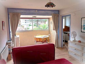 TV, stereo - 3VSE-COB3 - Pleasant studio near the beach (COLLIOURE)