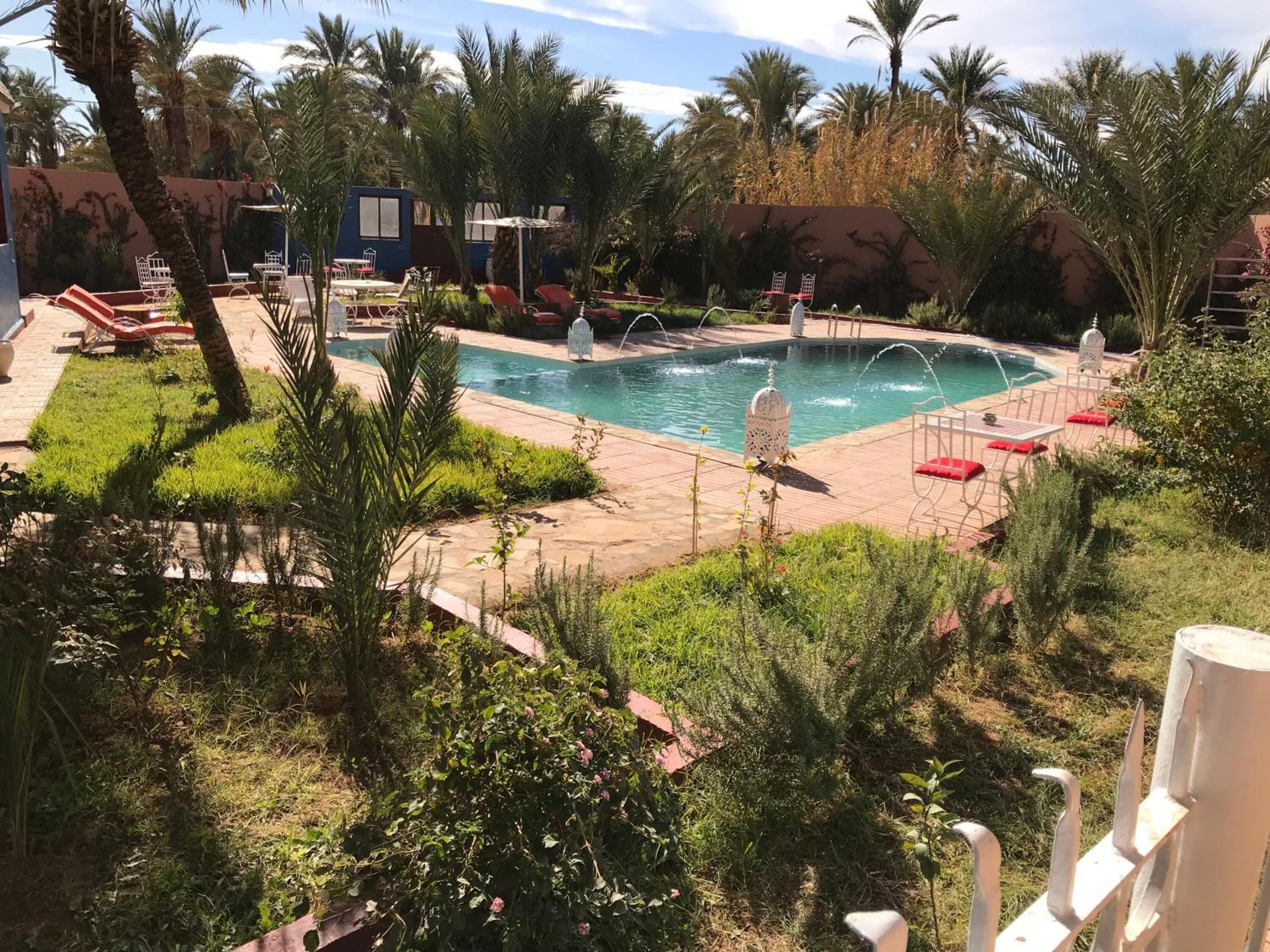 A pool area with lounge chairs and a small table, surrounded by greenery and palm trees.