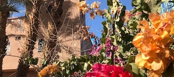 Riad Zagora Palms