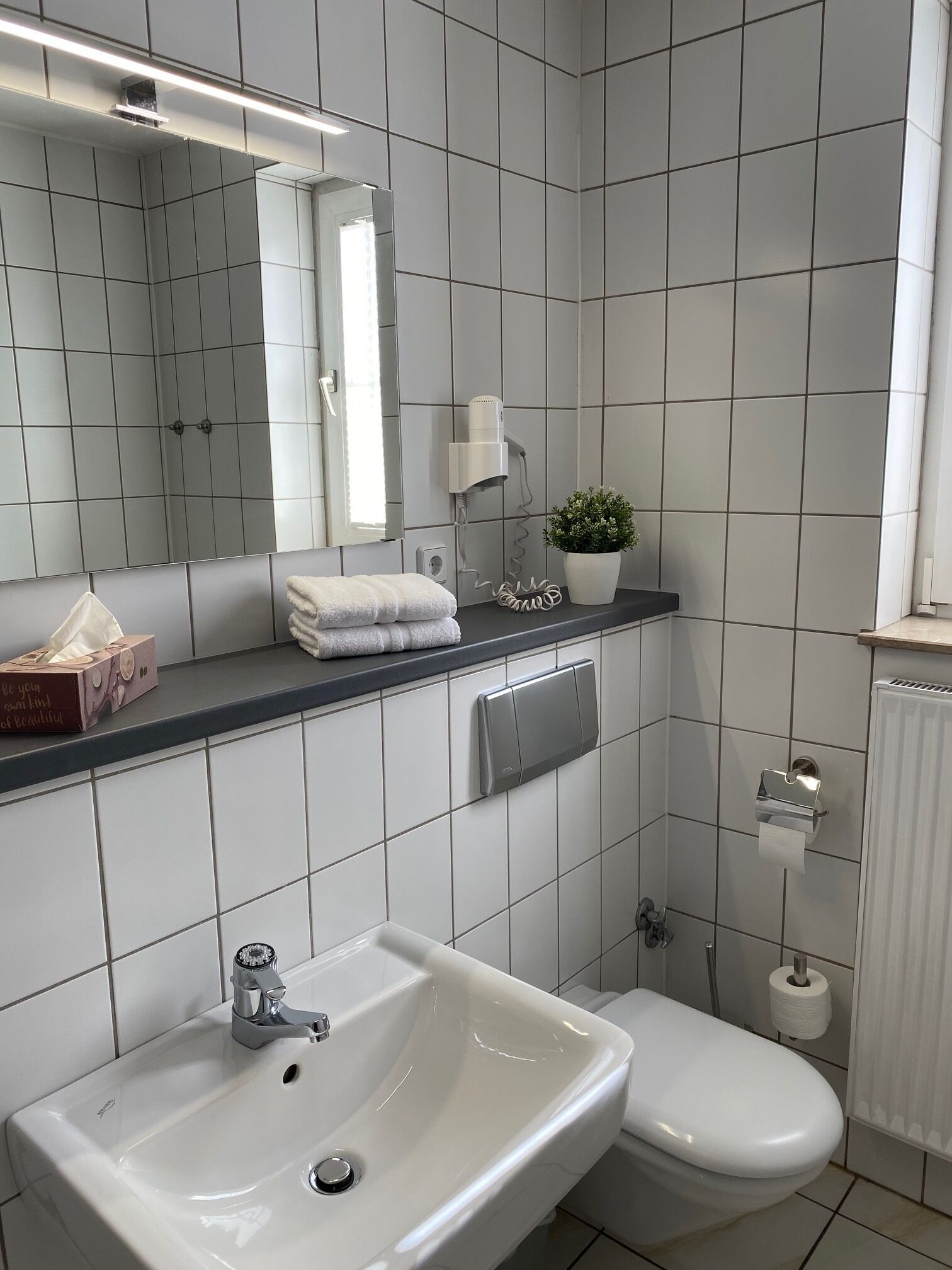 Et moderne badeværelse med en hvid vask, toilet, håndklædestige, hårtørrer og en potteplante.