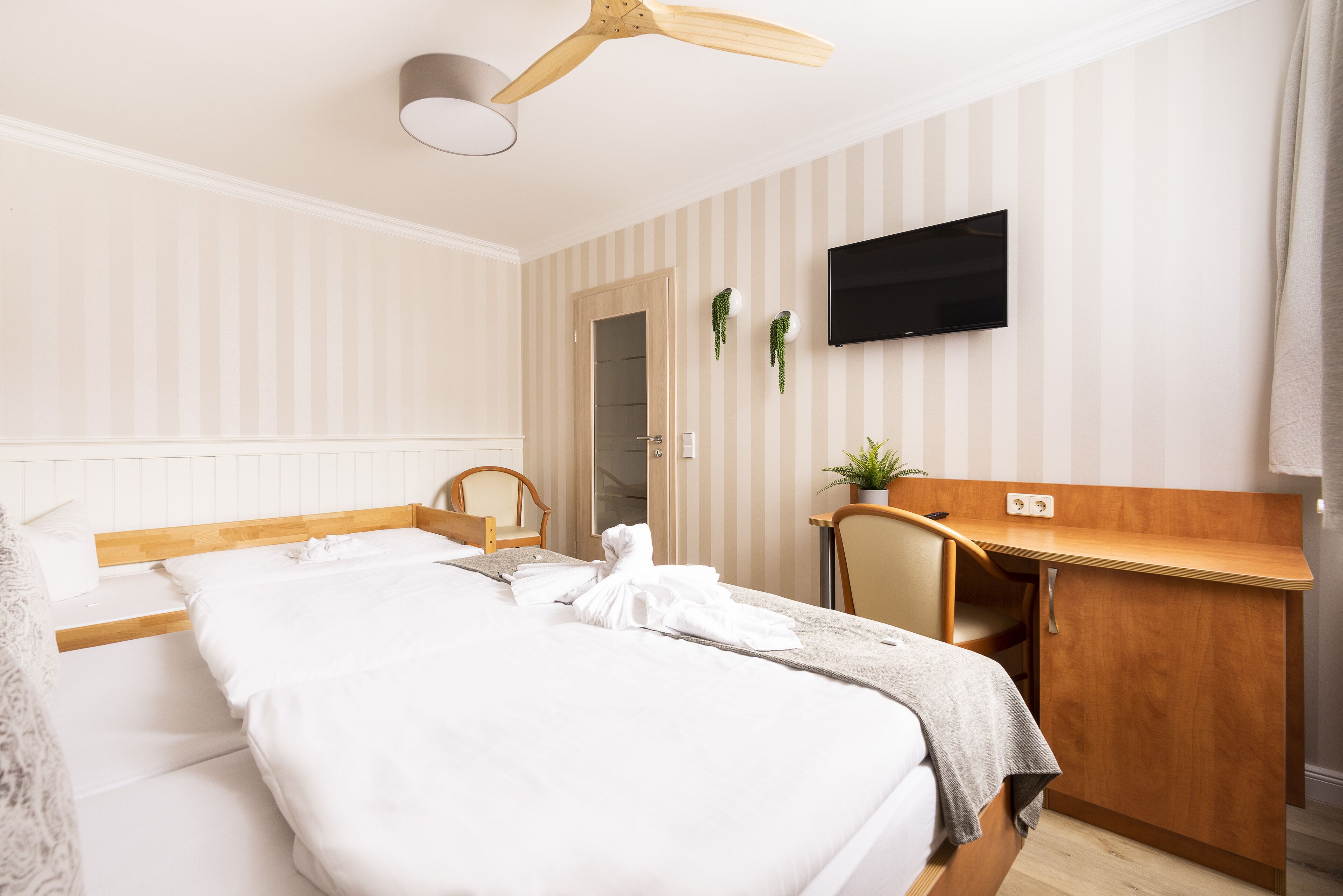A hotel room with a bed, a desk, a chair, a television, and a ceiling fan.