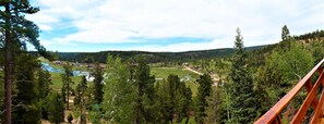 Back Patio View