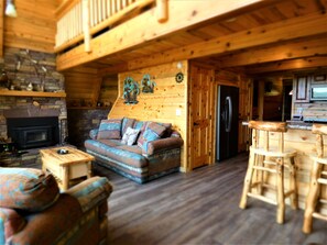Smart TV, fireplace, DVD player, video library